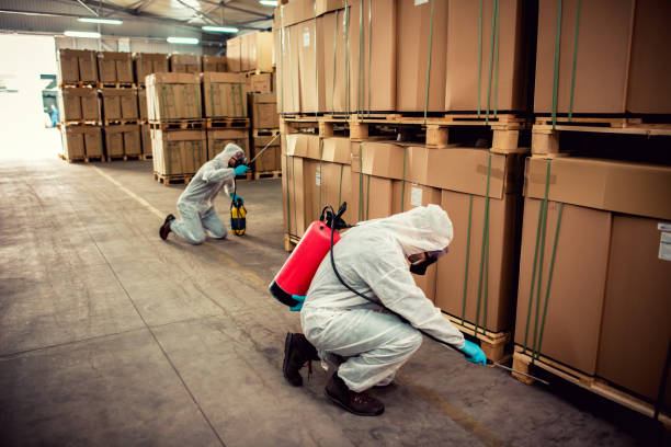 Best Wildlife Control Services  in Prairieville, LA