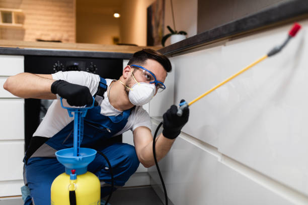 Best Commercial Pest Control Services  in Prairieville, LA