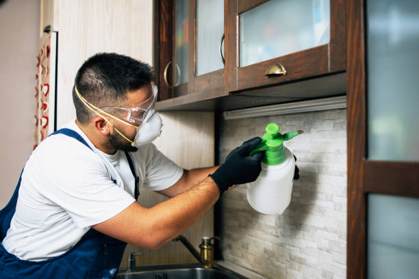 Best Affordable Pest Control Services  in Prairieville, LA