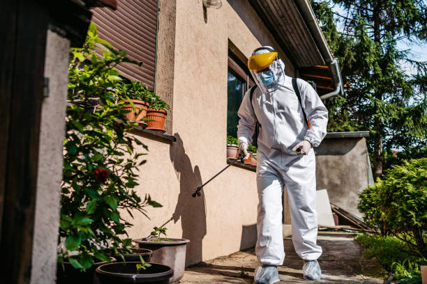 Professional Pest Control in Prairieville, LA