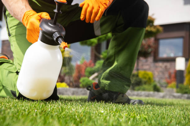 Wildlife Control Services in Prairieville, LA