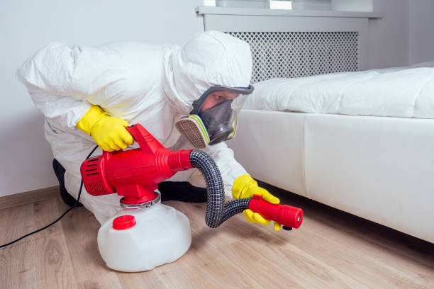 Flea Control Services in Prairieville, LA